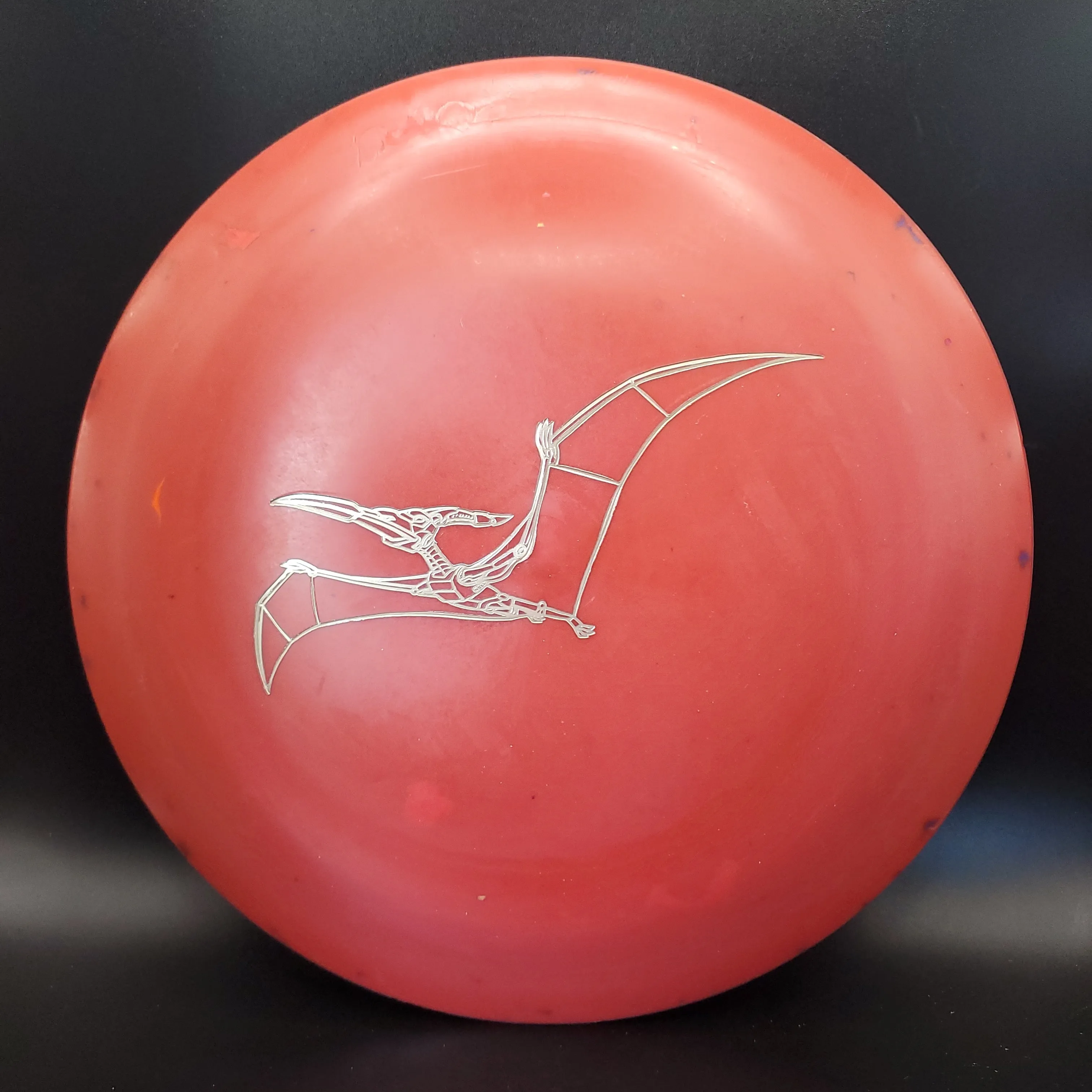 Dino Discs Egg Shell Pterodactyl