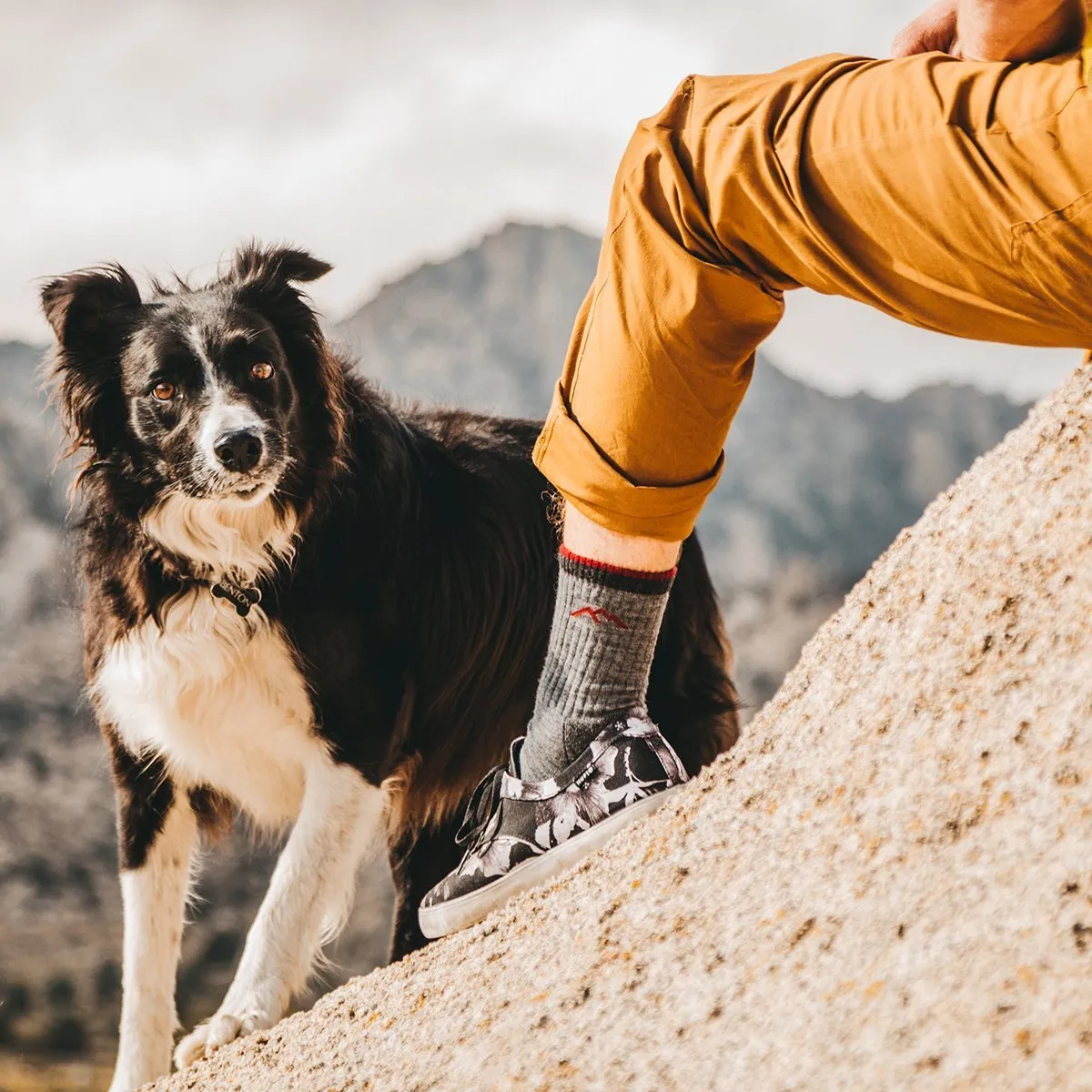 Hiker Boot Midweight | Full Cushion | Women's