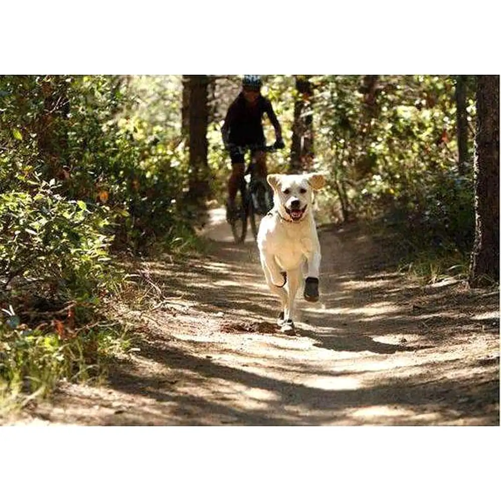 Hiking Wear-Resistant Dog Boots