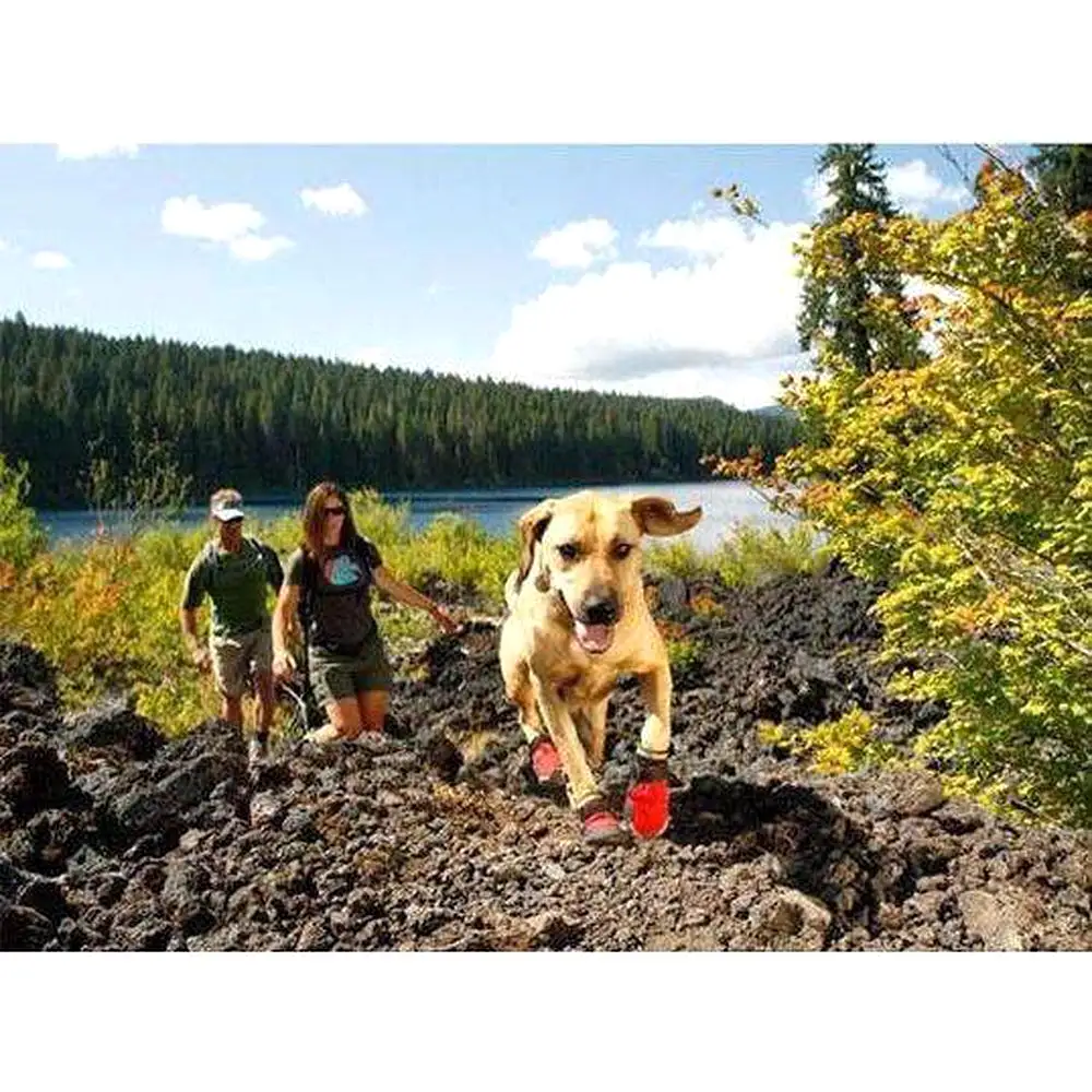 Hiking Wear-Resistant Dog Boots