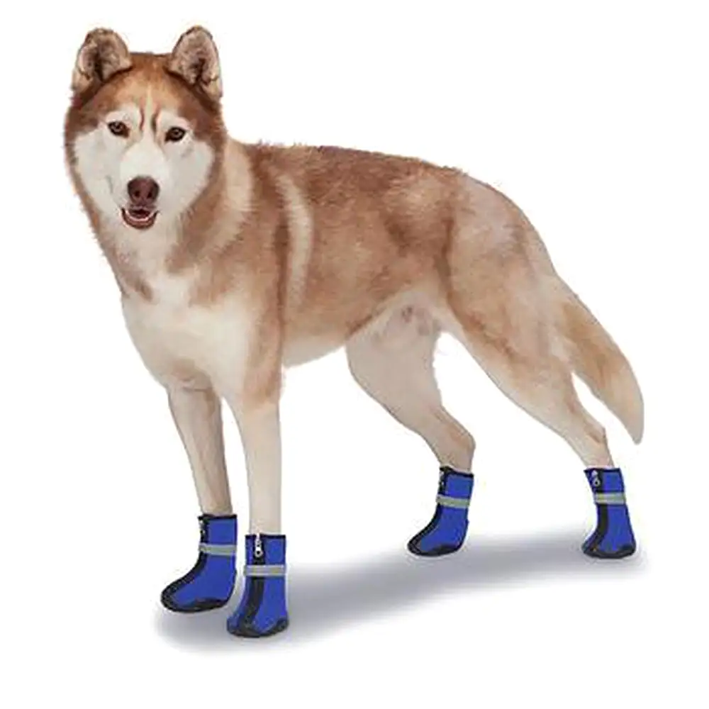 Zack and Zoey ThermaPet Neoprene Dog Boots - Blue